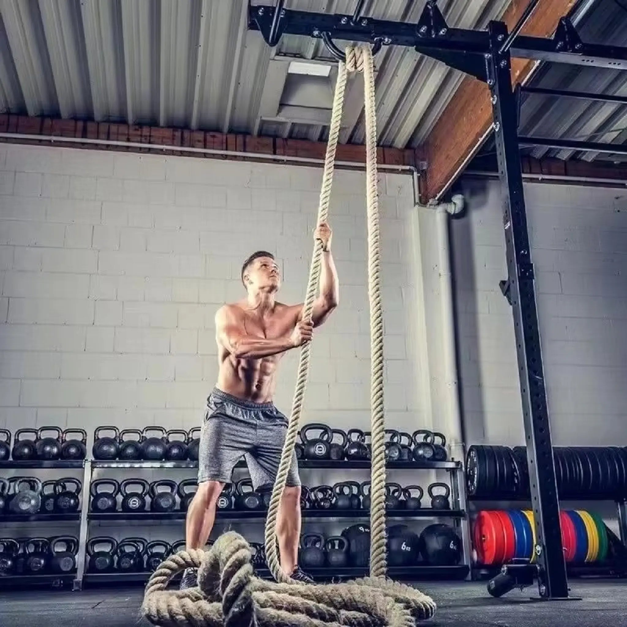 Battle ropes secured to anchor during strength training workout