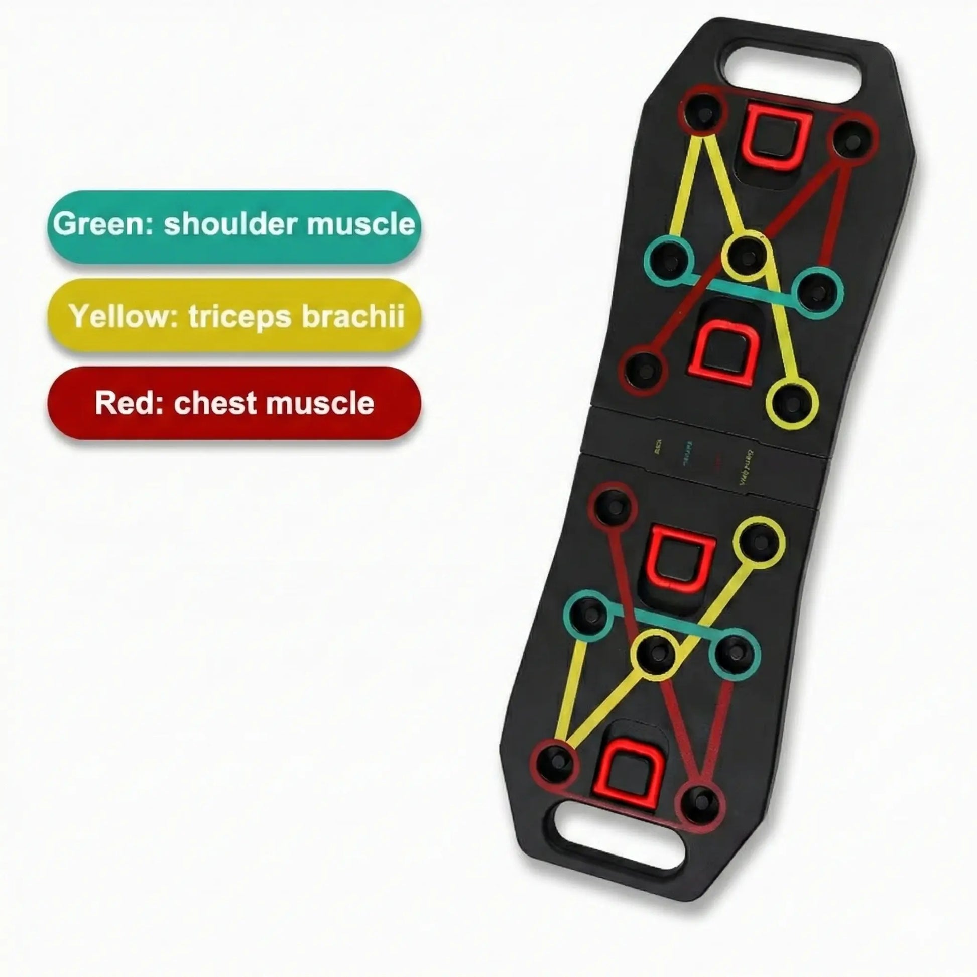 Colour-coded push-up board showing hand positions for chest, shoulders, and triceps